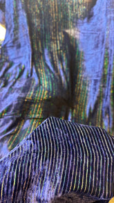 100% Pure French Kotrai Velvet with Multi Zari Base