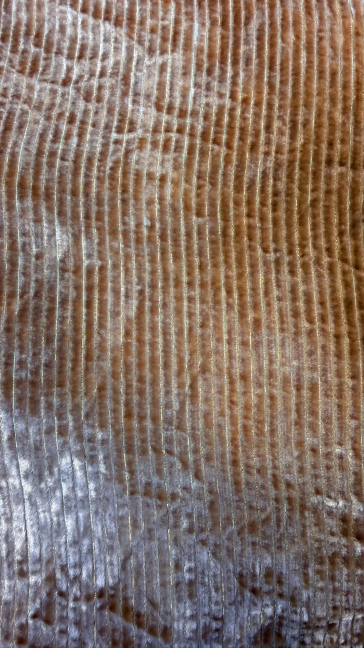 100% Pure French Kotrai Velvet with Multi Zari Base